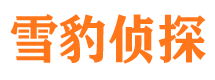 吉安侦探公司